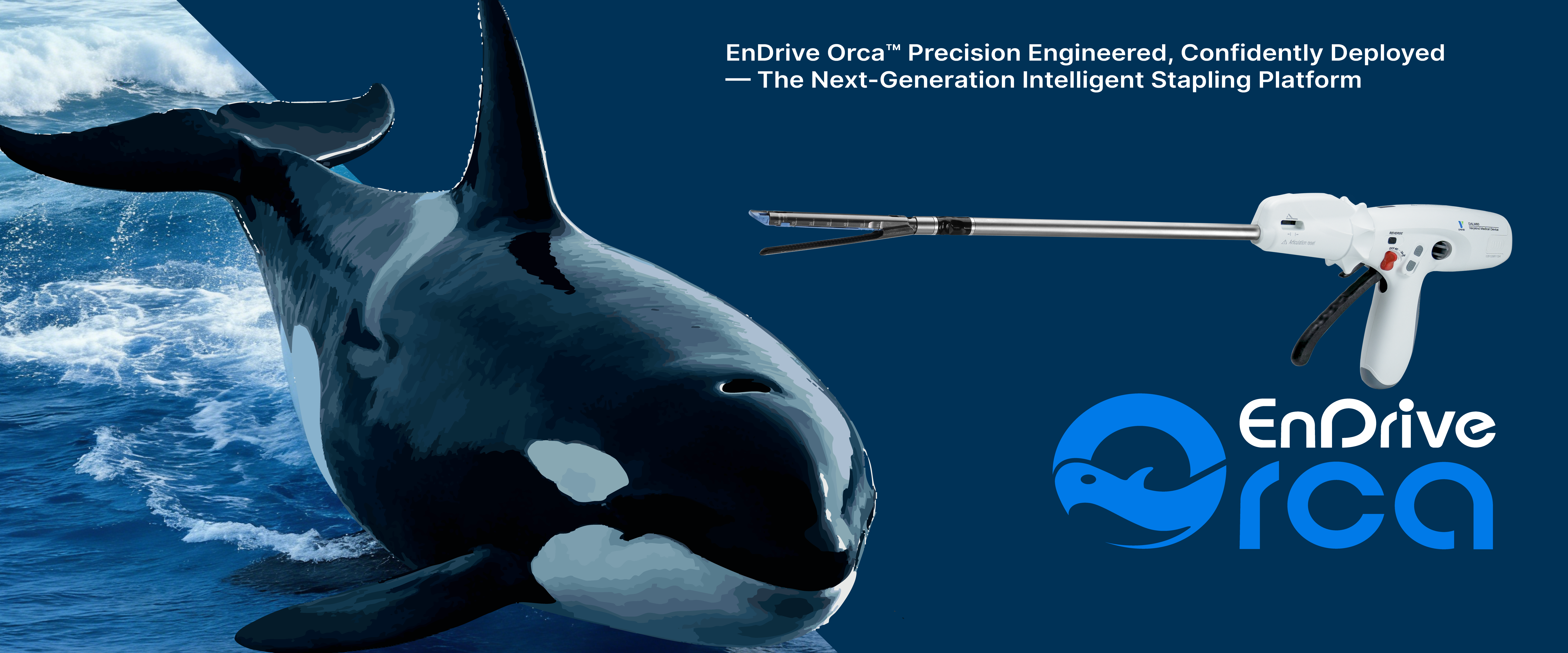 Orca_1920